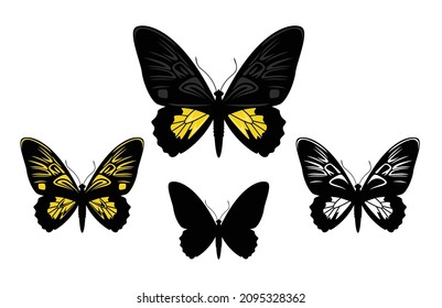 beautiful Indonesian butterfly oblong-spotted birdwing (troides oblongomaculatus) with black and yellow wings vector design set