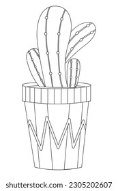 beautiful indoor cactus plants coloring page illustration 