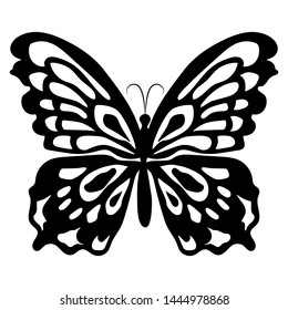 beautiful insect butterfly nature vector