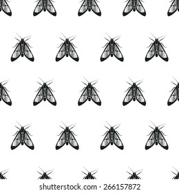 Beautiful insect moth seamless pattern - vector