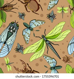 beautiful insects pattern, stag-beetle, cicada, green dragonfly, night-fly, vector illustration isolated on color background