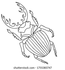 bellos insectos, escarabajo, ilustración vectorial aislada en fondo blanco