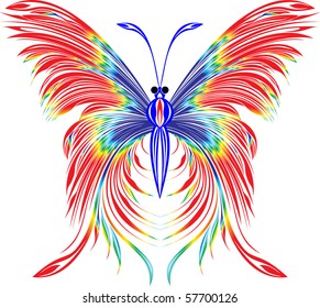 beautiful iridescent butterfly