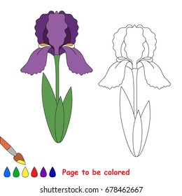 Beautiful Iris to be colored, the coloring book for preschool kids with easy educational gaming level.