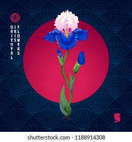 A beautiful iris flower with buds and leaves on background in oriental style