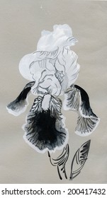 Beautiful iris painted in watercolor vector