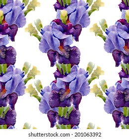 Beautiful iris seamless pattern on white background vector