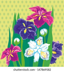 Beautiful irises. Floral vector composition.