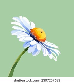 Beautiful isolated daisy flower in bloom, watercolor dye painting, vector EPS 10 illustration