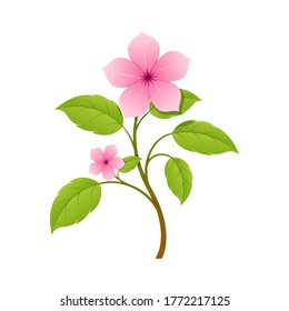 Beautiful isolated flower icon vector