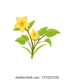 Hermoso vector de ícono de flor aislado