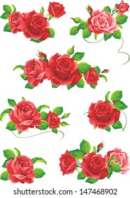 Beautiful isolated flowers on the white background. Set of different beautiful floral design elements