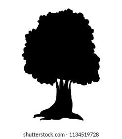 
Beautiful isolated oak tree
