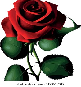 schöne einzelne rote Rose (Vektorgrafik)