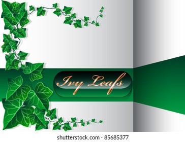 Beautiful Ivy Leaf Background
