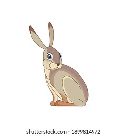 A beautiful jackrabbit (Lepus californicus) or American desert hare sits. Scene from wild. Cartoon character vector flat illustration isolated on a white background.