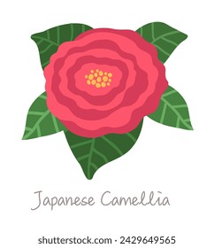 beautiful japanese camellia in flat style, isolated on white background. 