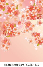 Beautiful Japanese cherry tree