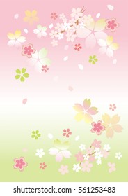 Beautiful Japanese cherry tree
