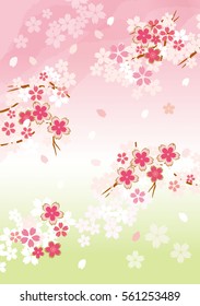 Beautiful Japanese cherry tree