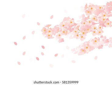 花びら 舞う のイラスト素材 画像 ベクター画像 Shutterstock