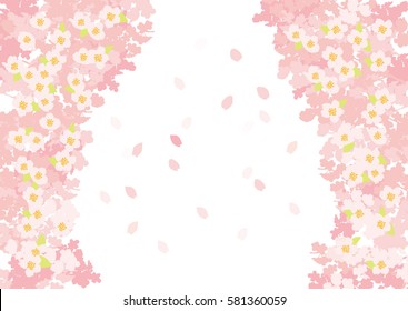 Beautiful Japanese cherry tree