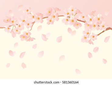 Beautiful Japanese cherry tree