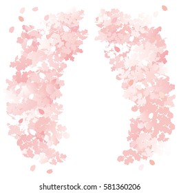 Beautiful Japanese cherry tree