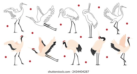 Beautiful japanese cranes and birds graphic black-and-white storks in different poses isolated set vector illustration. Oriental drawing graphic symbol, asian traditional decorative print element