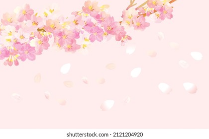Beautiful Japanese flower Sakura background illustration