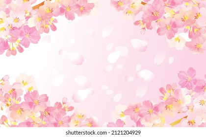 Beautiful Japanese flower Sakura background illustration