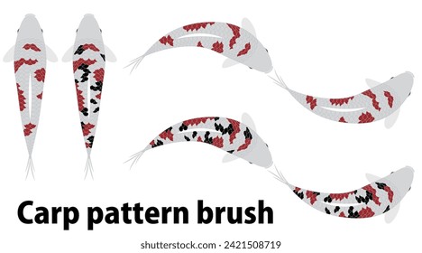 Beautiful Japanese Nishikigoi.
Elegant and high-class carp