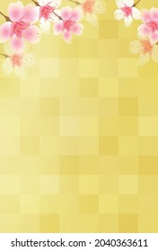 Beautiful Japanese pattern background illustration