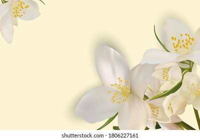 275 Jasmine flower 3d Images, Stock Photos & Vectors | Shutterstock