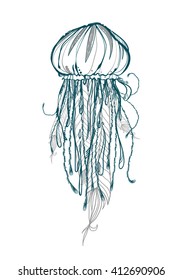 Beautiful jellyfish. Contour drawing. Beautiful jellyfish isolated on white background. Sea creatures.