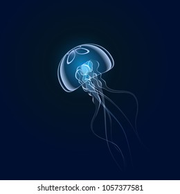 beautiful jellyfish floating slowly in the blue depths of the ocean vector illustration