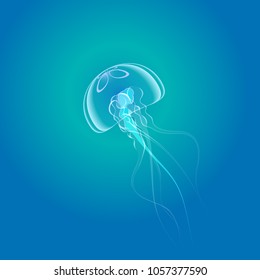 beautiful jellyfish floating slowly in the blue depths of the ocean vector illustration