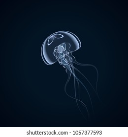 beautiful jellyfish floating slowly in the blue depths of the ocean vector illustration