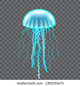 Beautiful jellyfish isolated on white photo-realistic vector illustration