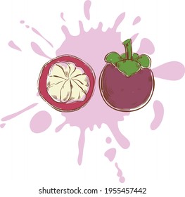 beautiful juicy color cartoon fruit illustration on background