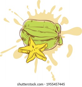 beautiful juicy color cartoon fruit illustration on background