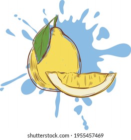 beautiful juicy color cartoon fruit illustration on background