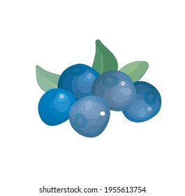 beautiful juicy color cartoon fruit illustration on background