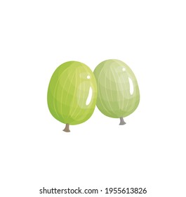 beautiful juicy color cartoon fruit illustration on background