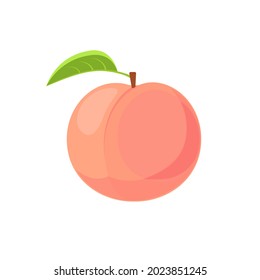 Beautiful juicy pink peach. Vector flat illustration isolated on white background