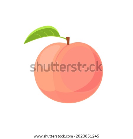 Beautiful juicy pink peach. Vector flat illustration isolated on white background