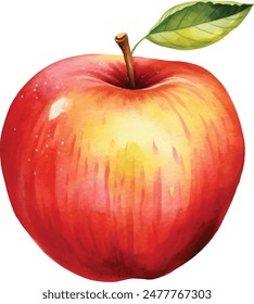 Beautiful juicy ripe red apple isolated on white background. Watercolor vector illustration