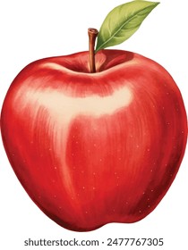 Beautiful juicy ripe red apple isolated on white background. Watercolor vector illustration