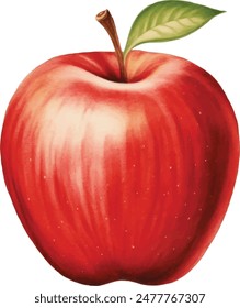 Beautiful juicy ripe red apple isolated on white background. Watercolor vector illustration