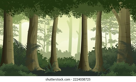 Beautiful Jungle Rain forest in the evening with the sun light vector Illustration